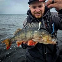Savage Gear Cannibal Minnow V-Tail 8cm/3.4g
